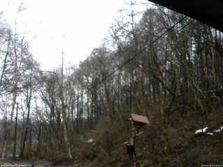 長野県菅平高原 ゆたか山荘 温度計 2026/04/02 07:15