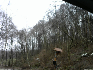 長野県菅平高原 ゆたか山荘 温度計 2026/04/02 09:30