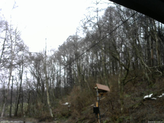 長野県菅平高原 ゆたか山荘 温度計 2026/04/02 10:45