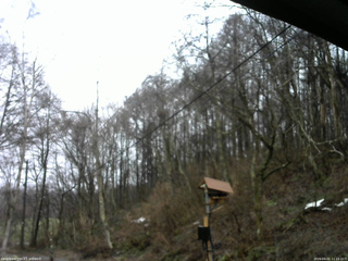 長野県菅平高原 ゆたか山荘 温度計 2026/04/02 11:15