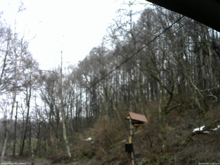 長野県菅平高原 ゆたか山荘 温度計 2026/04/02 11:30