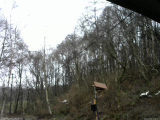 長野県菅平高原 ゆたか山荘 温度計 2026/04/02 11:45