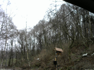 長野県菅平高原 ゆたか山荘 温度計 2026/04/02 12:30