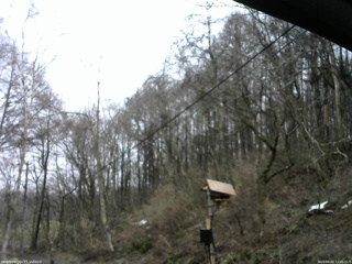 長野県菅平高原 ゆたか山荘 温度計 2026/04/02 12:45