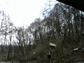 長野県菅平高原 ゆたか山荘 温度計 2026/04/02 13:00