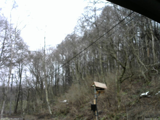 長野県菅平高原 ゆたか山荘 温度計 2026/04/02 13:15