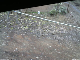 長野県菅平高原 ゆたか山荘 駐車場 2026/04/02 13:00