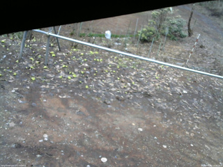 長野県菅平高原 ゆたか山荘 駐車場 2026/04/02 13:30