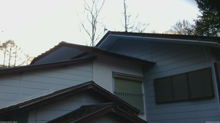 長野県菅平高原 ゆたか山荘 駐車場奥 2026/04/02 17:30