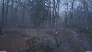 長野県菅平高原 ゆたか山荘 坂上 2026/04/02 05:30