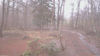 長野県菅平高原 ゆたか山荘 坂上 2026/04/02 05:45