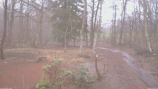 長野県菅平高原 ゆたか山荘 坂上 2026/04/02 06:00