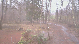 長野県菅平高原 ゆたか山荘 坂上 2026/04/02 06:15