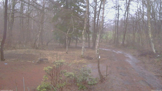 長野県菅平高原 ゆたか山荘 坂上 2026/04/02 06:30