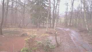 長野県菅平高原 ゆたか山荘 坂上 2026/04/02 07:00
