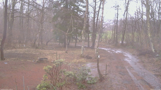長野県菅平高原 ゆたか山荘 坂上 2026/04/02 07:15
