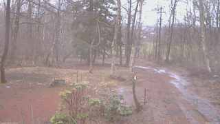 長野県菅平高原 ゆたか山荘 坂上 2026/04/02 07:45