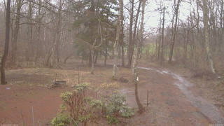 長野県菅平高原 ゆたか山荘 坂上 2026/04/02 08:30