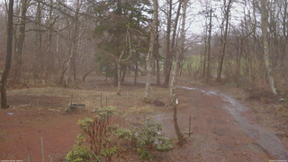 長野県菅平高原 ゆたか山荘 坂上 2026/04/02 08:45