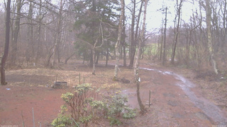 長野県菅平高原 ゆたか山荘 坂上 2026/04/02 09:00