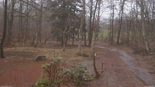 長野県菅平高原 ゆたか山荘 坂上 2026/04/02 09:30