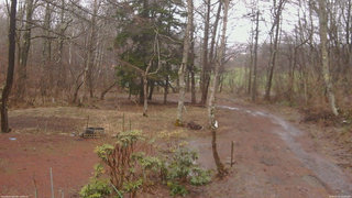 長野県菅平高原 ゆたか山荘 坂上 2026/04/02 10:00