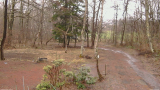 長野県菅平高原 ゆたか山荘 坂上 2026/04/02 11:15