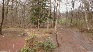 長野県菅平高原 ゆたか山荘 坂上 2026/04/02 12:15