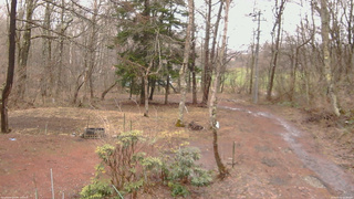 長野県菅平高原 ゆたか山荘 坂上 2026/04/02 12:30