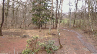 長野県菅平高原 ゆたか山荘 坂上 2026/04/02 12:45