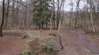 長野県菅平高原 ゆたか山荘 坂上 2026/04/02 13:15