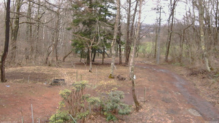 長野県菅平高原 ゆたか山荘 坂上 2026/04/02 14:15