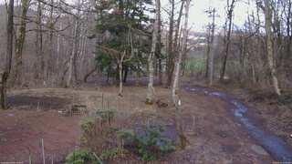 長野県菅平高原 ゆたか山荘 坂上 2026/04/02 15:45