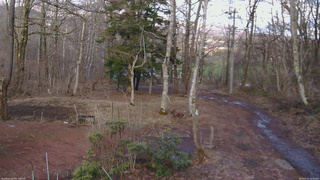 長野県菅平高原 ゆたか山荘 坂上 2026/04/02 16:45