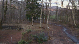 長野県菅平高原 ゆたか山荘 坂上 2026/04/02 17:45