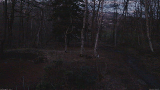 長野県菅平高原 ゆたか山荘 坂上 2026/04/02 18:30