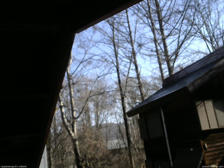 長野県菅平高原 ゆたか山荘 北側 2026/04/03 07:45