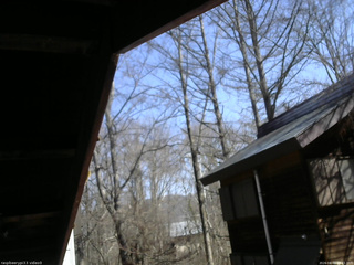 長野県菅平高原 ゆたか山荘 北側 2026/04/03 09:45