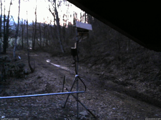 長野県菅平高原 ゆたか山荘 南側 2026/04/03 05:15