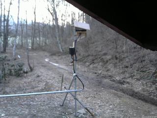 長野県菅平高原 ゆたか山荘 南側 2026/04/03 05:30