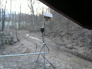 長野県菅平高原 ゆたか山荘 南側 2026/04/03 05:45