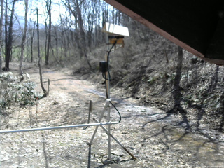 長野県菅平高原 ゆたか山荘 南側 2026/04/03 10:00