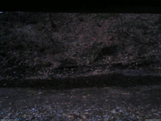 長野県菅平高原 ゆたか山荘 東側(坂下) 2026/04/03 05:15