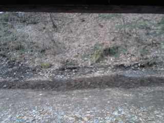 長野県菅平高原 ゆたか山荘 東側(坂下) 2026/04/03 05:30