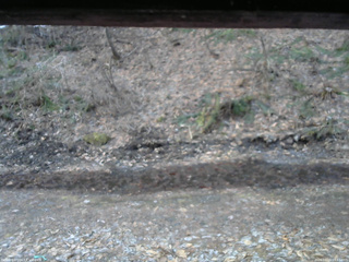 長野県菅平高原 ゆたか山荘 東側(坂下) 2026/04/03 05:45