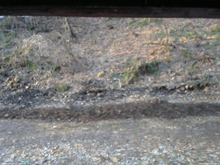 長野県菅平高原 ゆたか山荘 東側(坂下) 2026/04/03 06:00