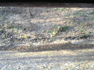 長野県菅平高原 ゆたか山荘 東側(坂下) 2026/04/03 06:30