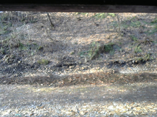 長野県菅平高原 ゆたか山荘 東側(坂下) 2026/04/03 06:45