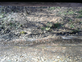 長野県菅平高原 ゆたか山荘 東側(坂下) 2026/04/03 07:30