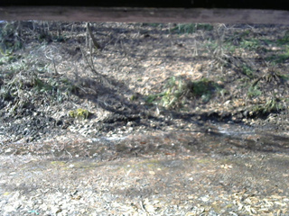 長野県菅平高原 ゆたか山荘 東側(坂下) 2026/04/03 07:45